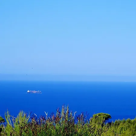 Mabely Grand Kampi (Zakynthos)